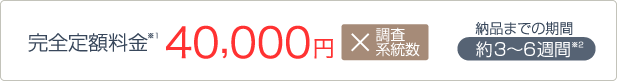 完全定額制40,000円×系統数,納品までの期間4〜8週間