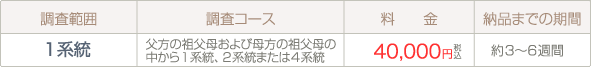 料金表